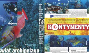 Madera w magazynie Kontynenty