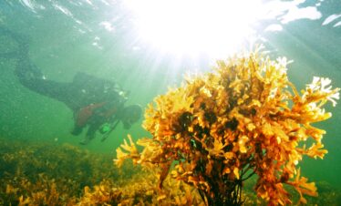 Bornholm – dla nurków i…rowerzystów w magazynie Jachting